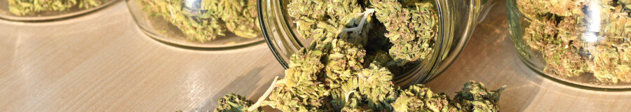 Moisture Banner Moisture Banner