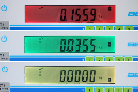 PTSplus pallet truck scale