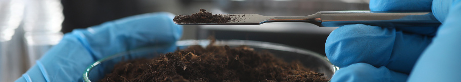 Sample Being Measured