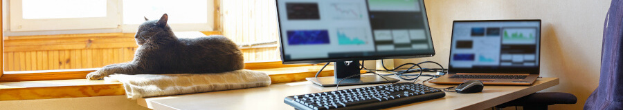 Work From Home Banner