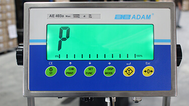 The Password Entry Screen