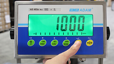 Entering the Password