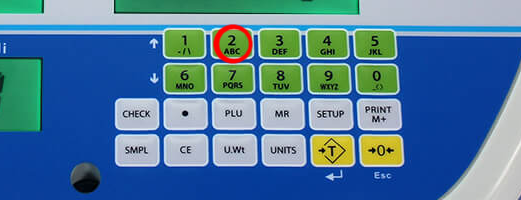 Enter the number of pieces