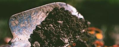 SOIL CHEMISTRY: Dealing With Data