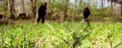 Adam Equipment Celebrates a Milestone by Looking Toward the Future