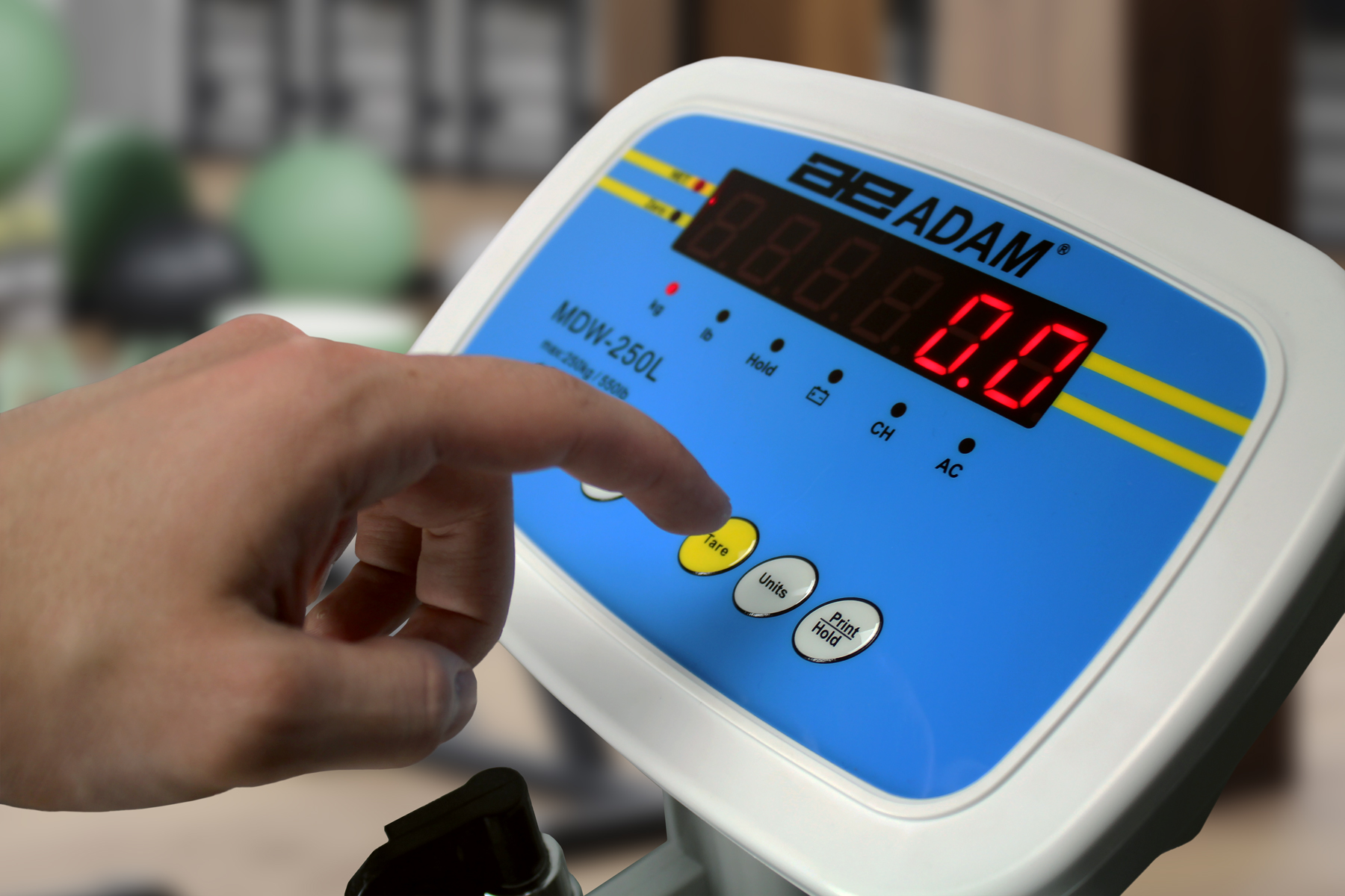 health and fitness scales