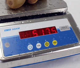 waterproof scales sealed keypad
