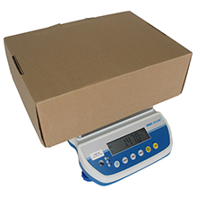 Latitude compact bench scales construction