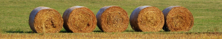agriculture scales for hay bales